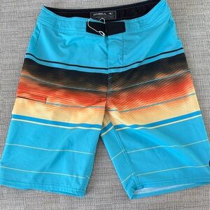O'Neill Men's Multicolor Board Shorts